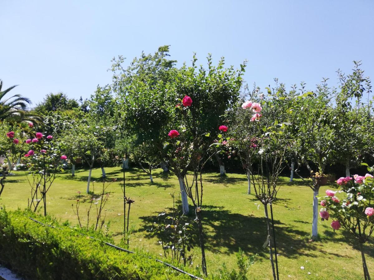 Garman Villa Llanes Kültér fotó